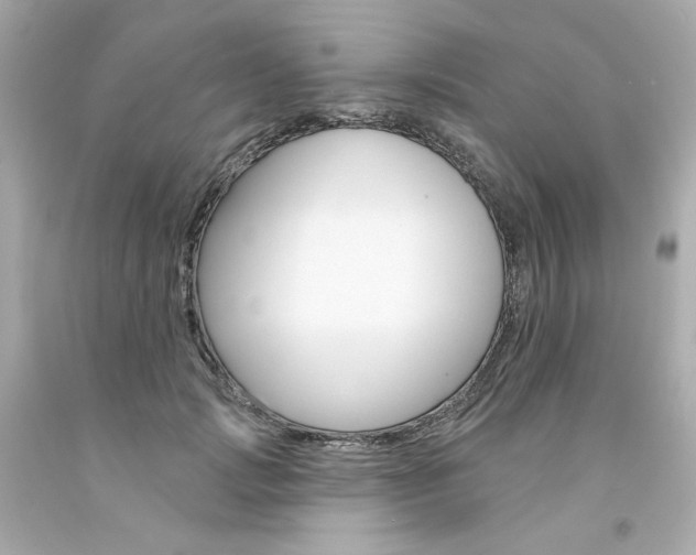 X0000094350749200711021313