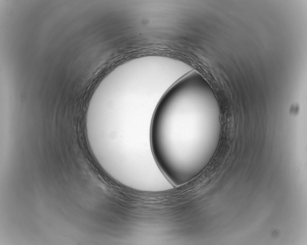 X0000094350750200711021313