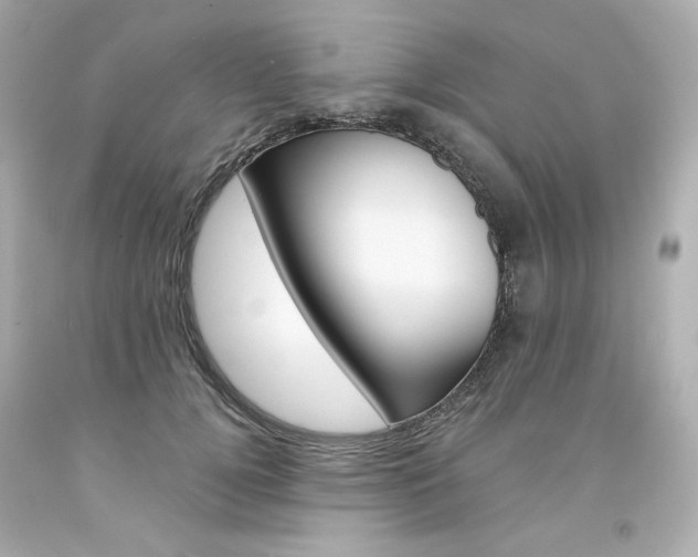X0000094350752200711021313