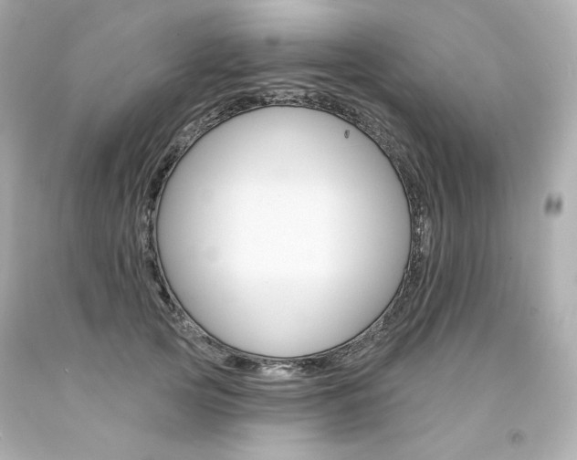 X0000094350753200711021313