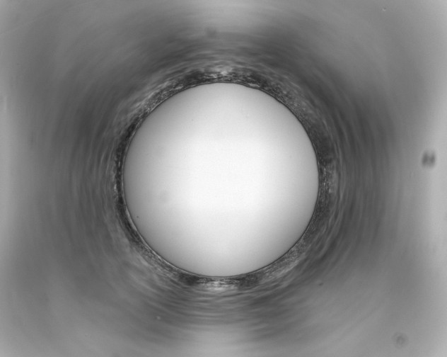 X0000094350754200711021313