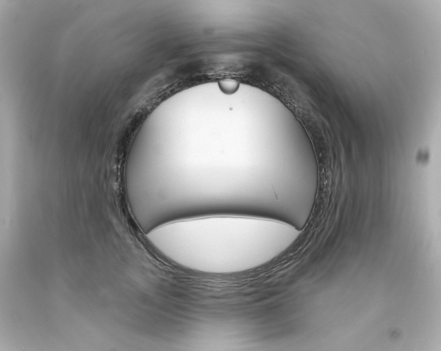 X0000094350755200711021313
