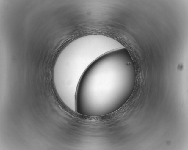 X0000094350756200711021313