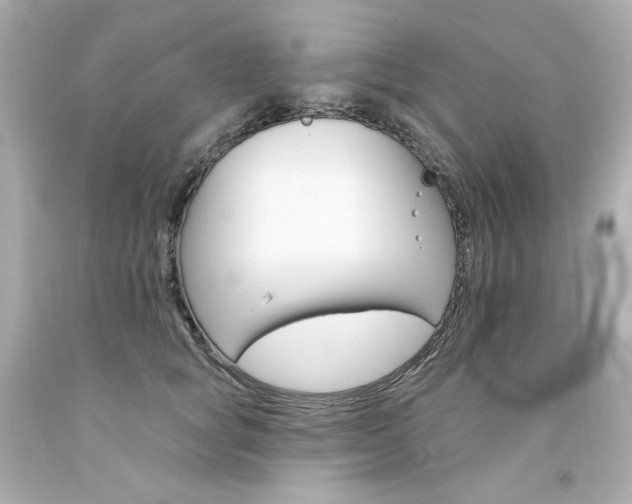 X0000094350757200711021313