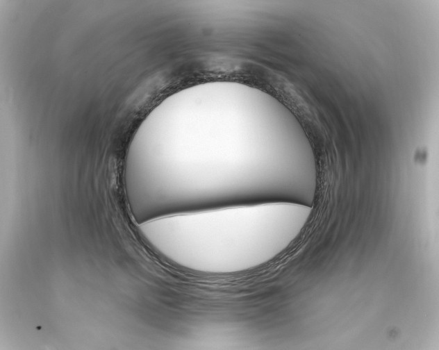 X0000094350758200711021313
