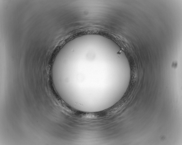 X0000094350759200711021313