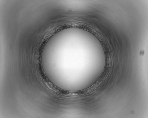 X0000094350760200711021313