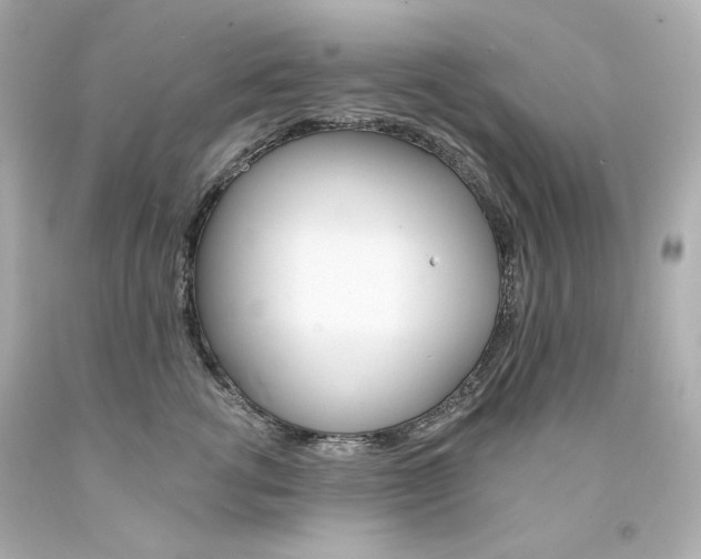X0000094350762200711021313