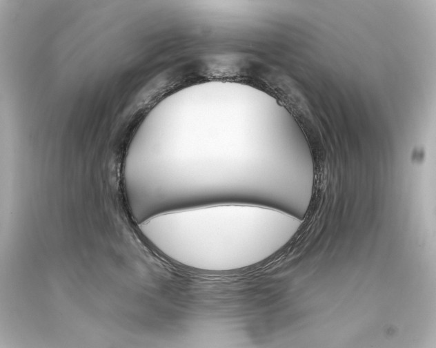 X0000094350763200711021313