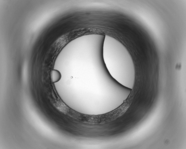 X0000094350765200711021313
