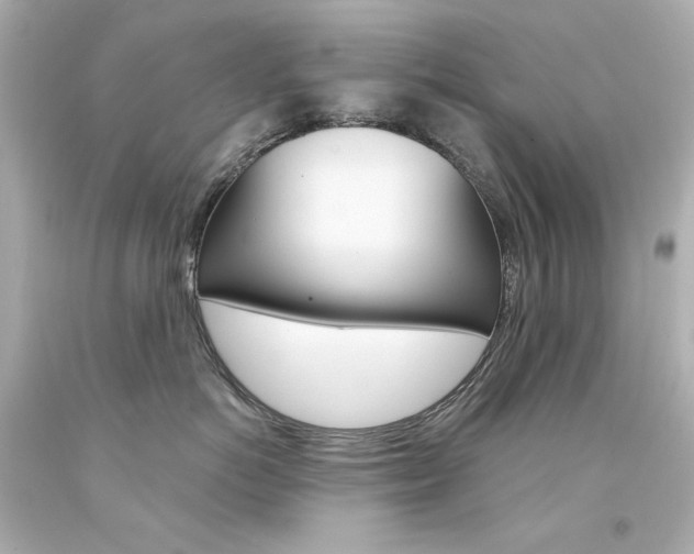 X0000094350766200711021313