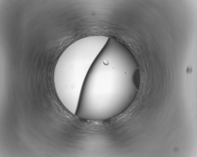 X0000094350768200711021313