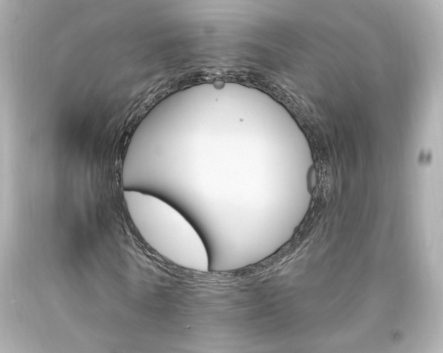 X0000094350770200711021312