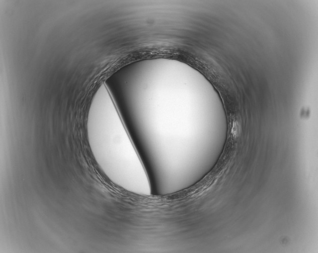 X0000094350771200711021312