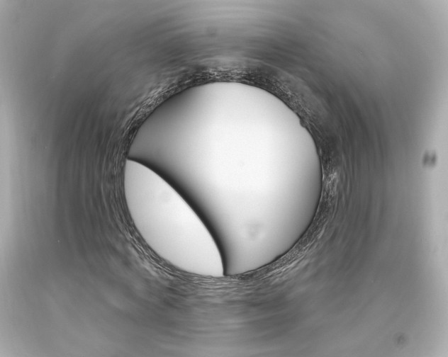 X0000094350772200711021312