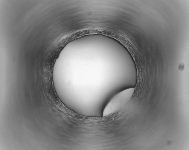 X0000094350773200711021312