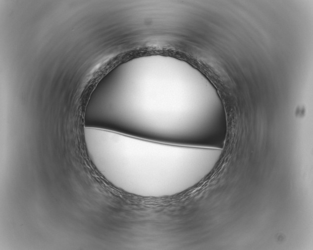 X0000094350776200711021312