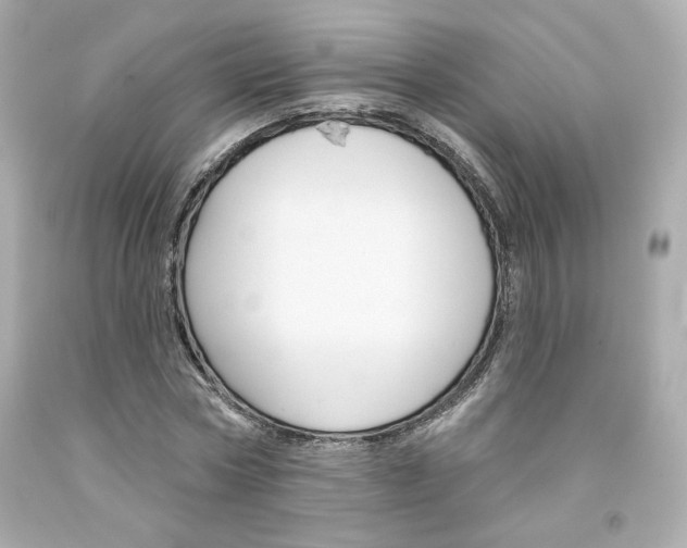 X0000094350778200711021312