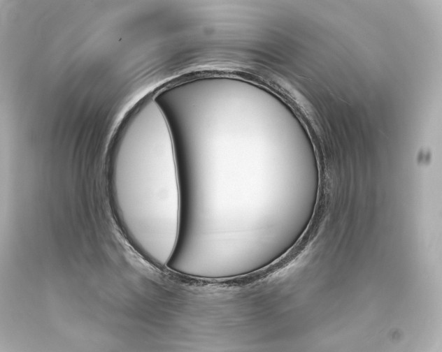 X0000094350779200711021312