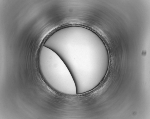 X0000094350782200711021312