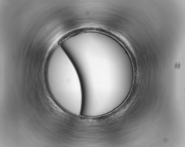 X0000094350783200711021312