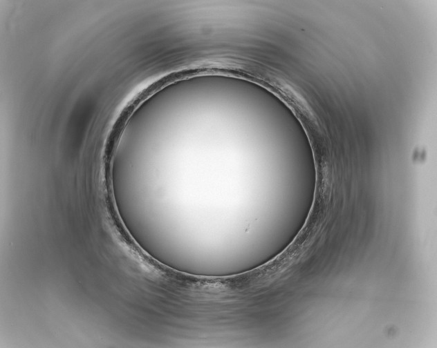 X0000094350784200711021312