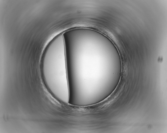 X0000094350787200711021312