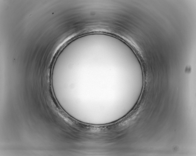 X0000094350790200711021312
