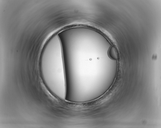 X0000094350791200711021312