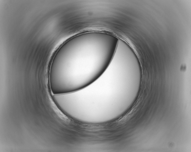 X0000094350795200711021312