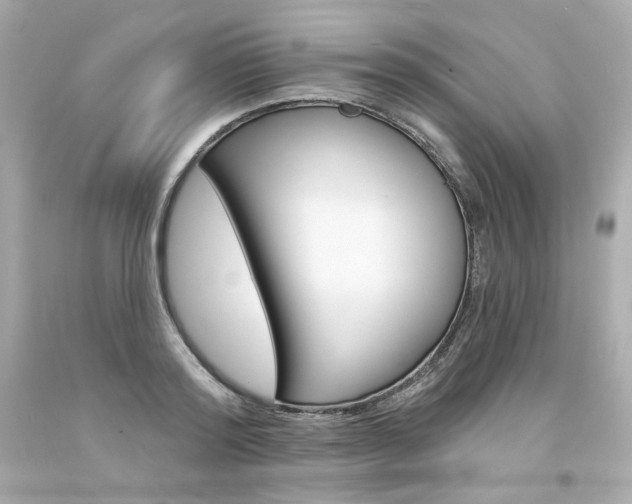 X0000094350796200711021312