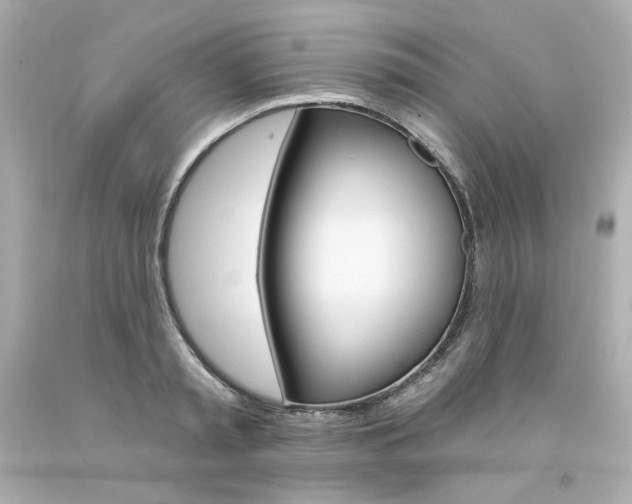 X0000094350797200711021312