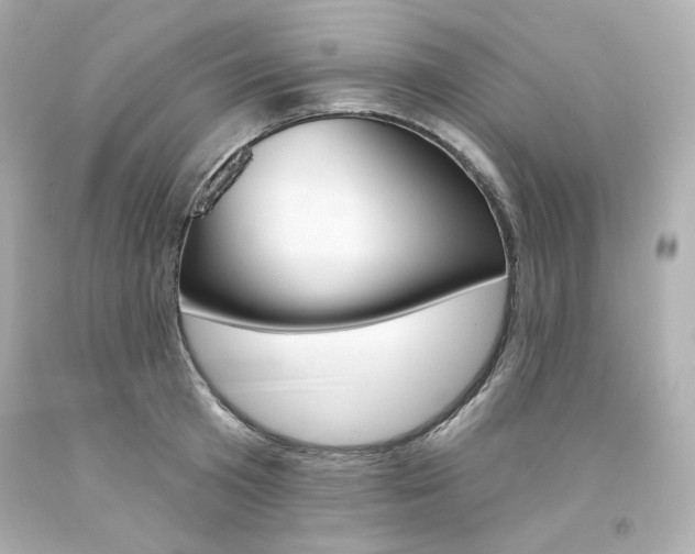 X0000094350801200711021312
