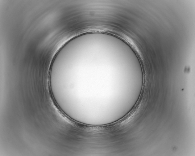 X0000094350802200711021312