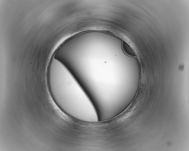 X0000094350803200711021312
