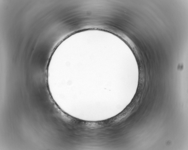 X0000094350807200711021312