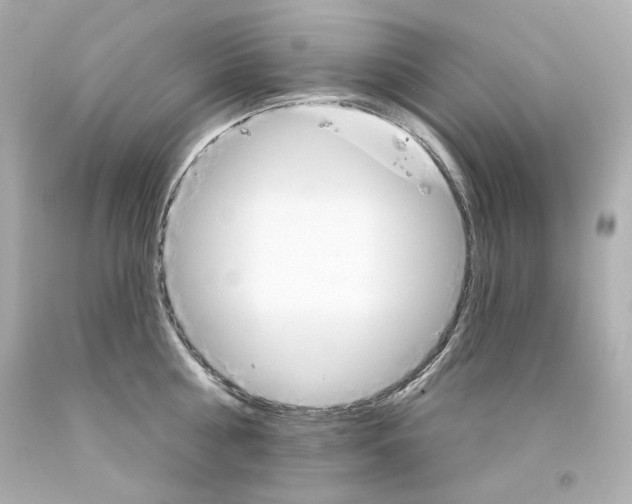 X0000094350810200711021312