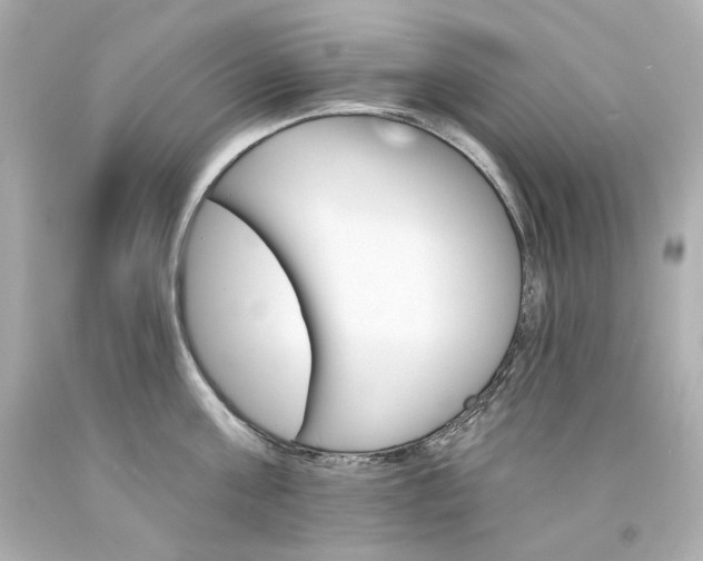 X0000094350811200711021312
