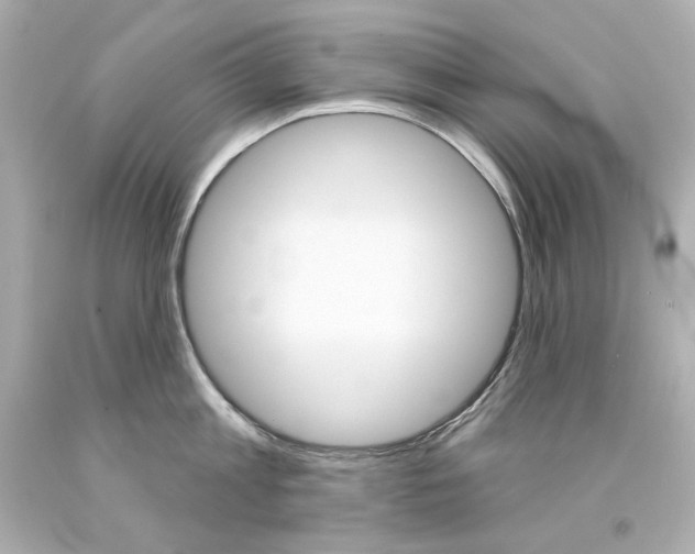 X0000094350813200711021312