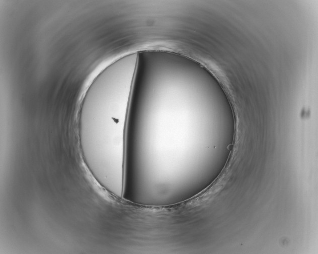 X0000094350816200711021311