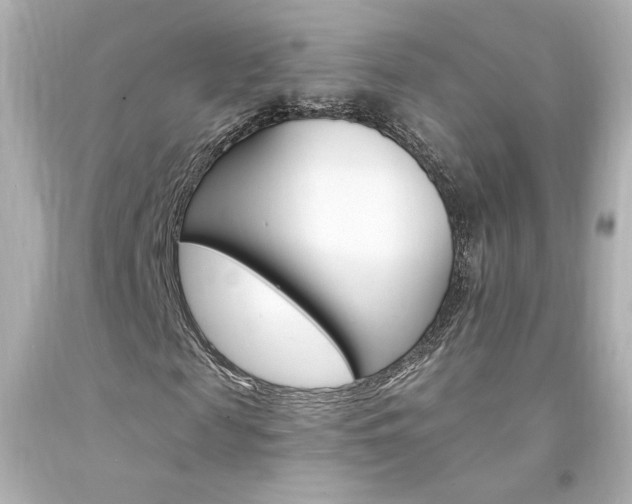 X0000094350817200711021311