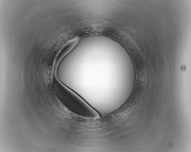 X0000094350818200711021311