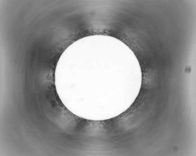 X0000094350820200711021311