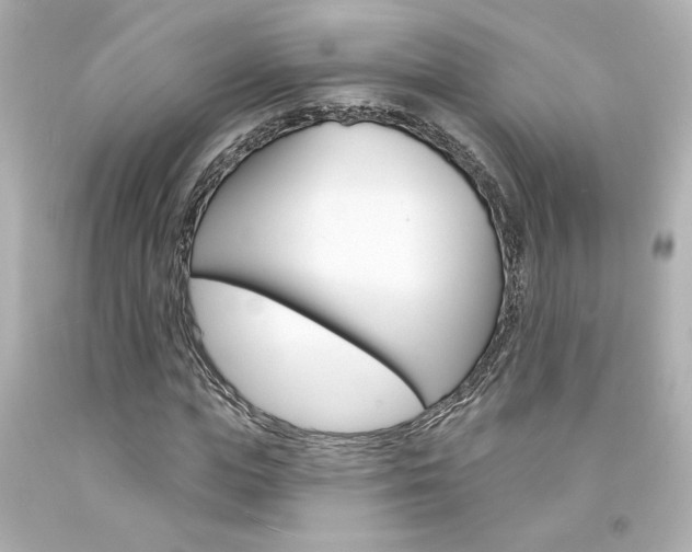 X0000094350823200711021311