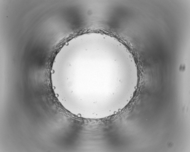 X0000094350824200711021311