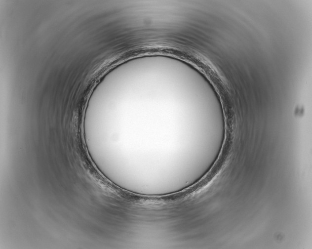 X0000094350825200711021311