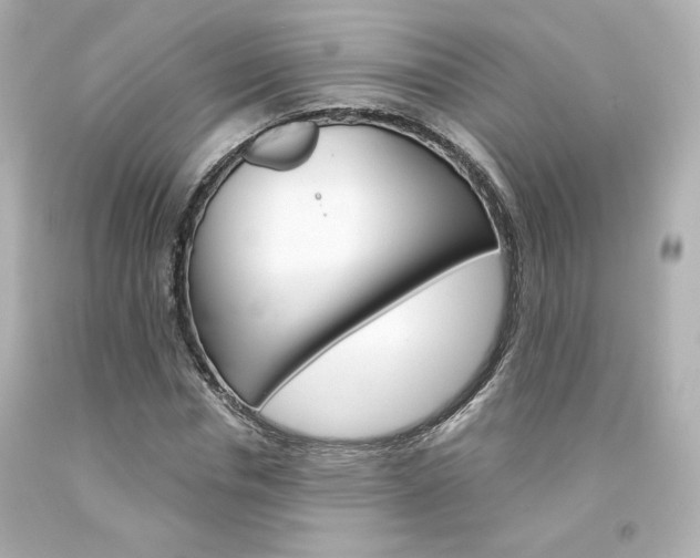 X0000094350826200711021311