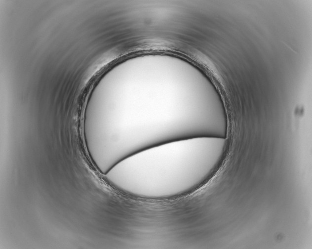 X0000094350827200711021311