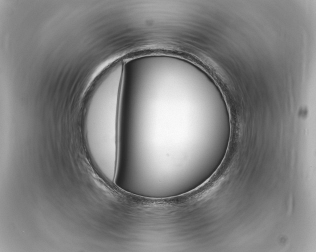 X0000094350830200711021311