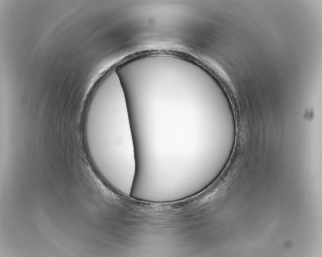 X0000094350831200711021311